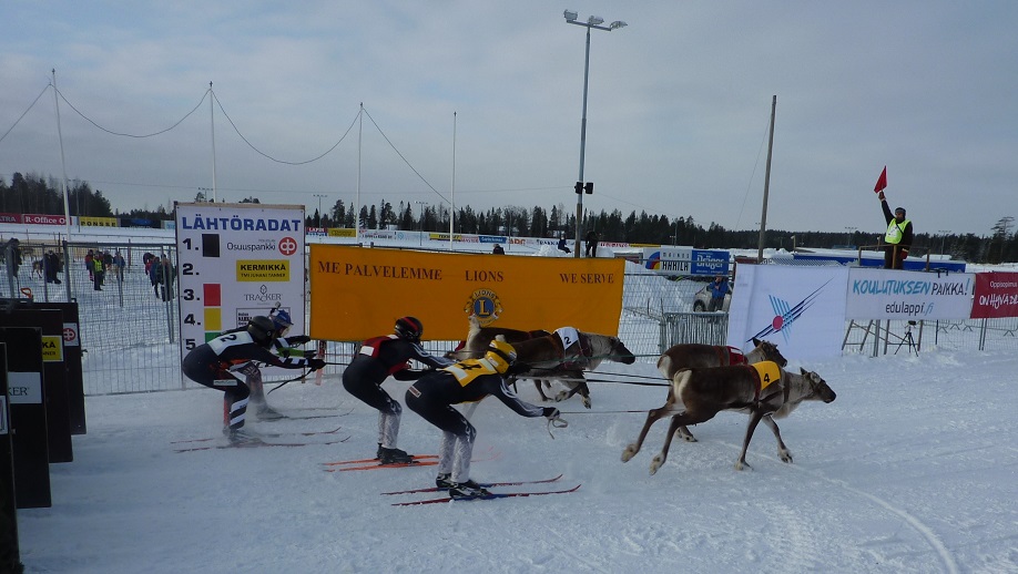 Reindeer running away from their kebaby destiny